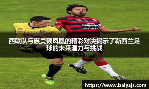 熊猫体育官网